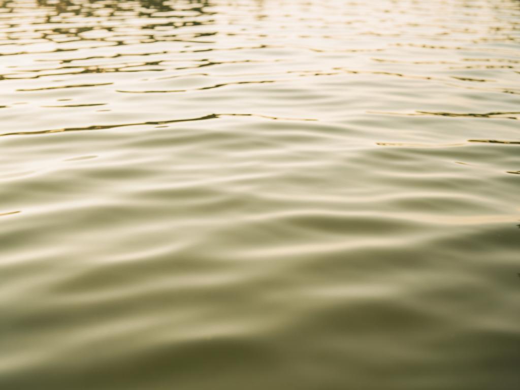 Calm water surface with gentle ripples in morning light
